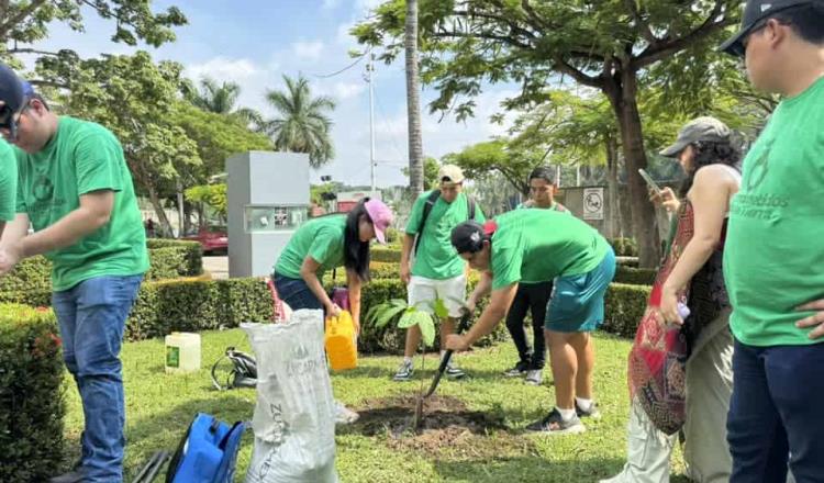 Movimiento Comprometidos con la Tierra siembra más de 350 árboles en Villahermosa