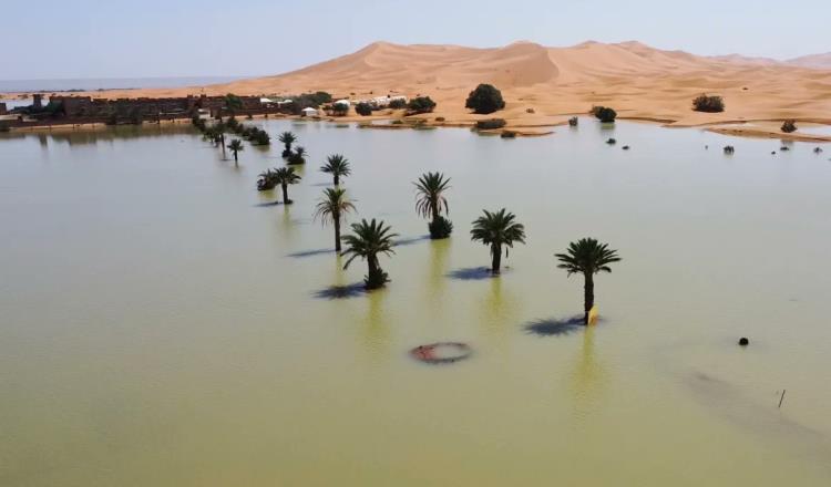 ¡Por primera vez en más de 50 años! Desierto del Sahara inundado por lluvias