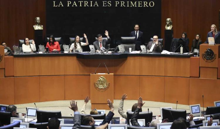 Senado aprueba convocatoria para elecciones en el Poder Judicial