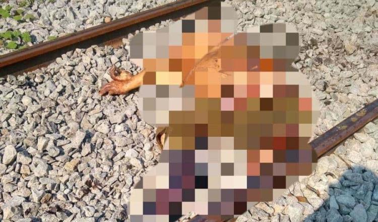 Fallece hombre tras ser arrollado por Tren Interoceánico en Macuspana