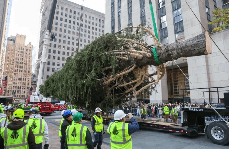 Árbol de Navidad del Rockefeller Center llega a NY