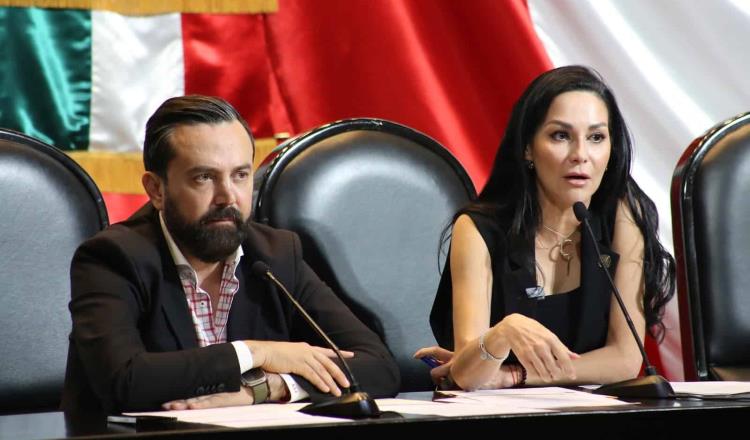 Diputados ven "excesivo" presupuesto del INE para elección judicial