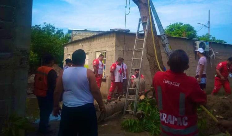 Hombre se desmaya cuando cortaba ramas de árbol en Cárdenas