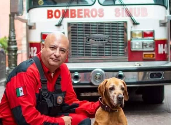 Fallece "Titán", perro rescatista que salvó a decenas de personas en el sismo del 2017