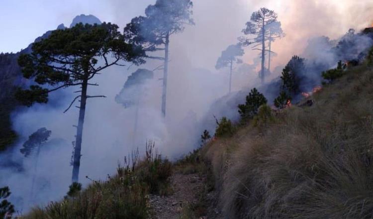 Aumenta tasa de homicidios e incendios forestales en México, denuncia PRI