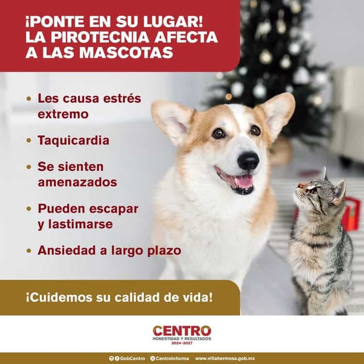 Lanza Centro campaña para evitar uso de pirotecnia para no afectar a mascotas